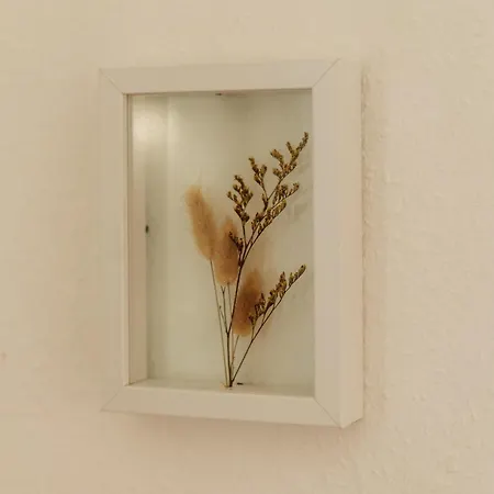 דירה Harzglanz Fewo's Harzbock *